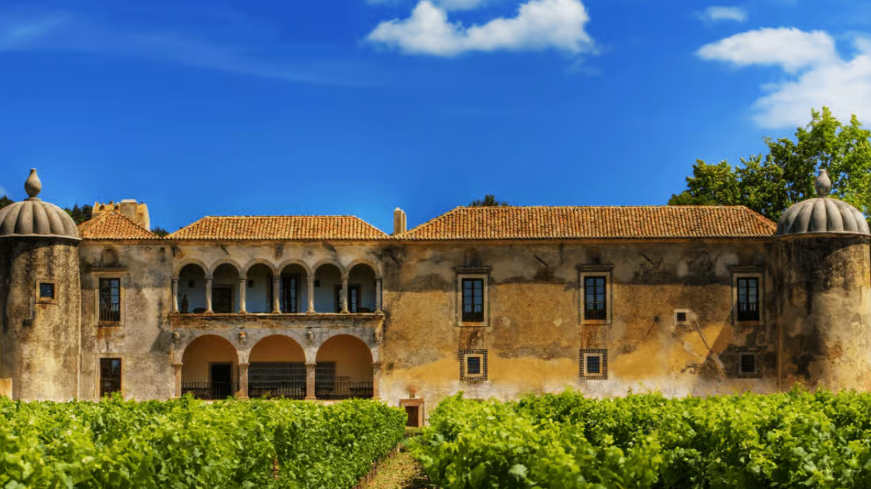 Serra da Arrábida, Sesimbra e Vinhos de Setúbal